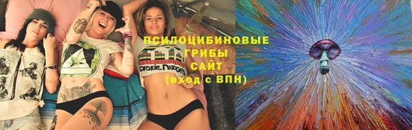 спайс Алексин