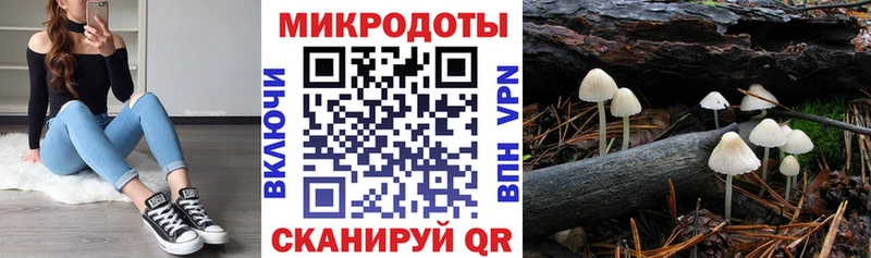 Галлюциногенные грибы GOLDEN TEACHER  Чехов 